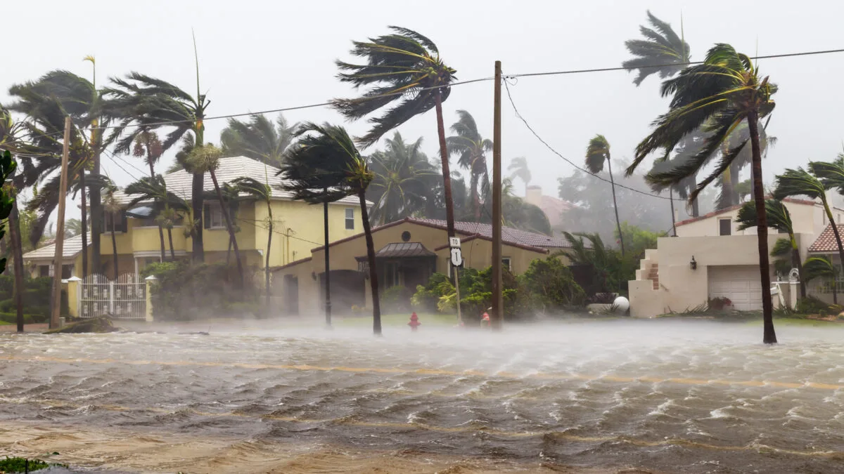 Hurrican Winds Adobe Stock 171085827