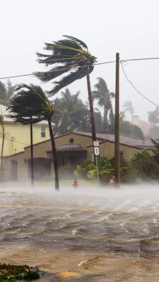 Hurrican Winds Adobe Stock 171085827