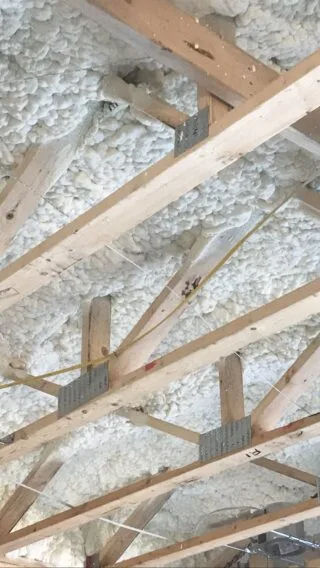 Woodside ET in Attic IMG 1087